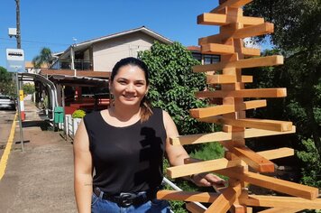 Município recebe decoração natalina