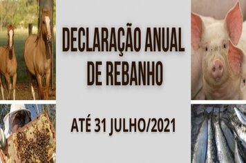 Prazo para Declaração de Rebanho termina no dia 31