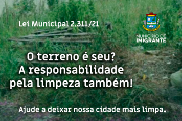 Executivo iniciará fiscalização da limpeza de terrenos baldios