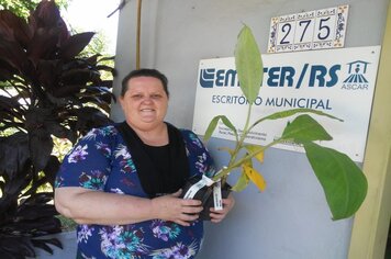 Mudas de diversas foram entregues a produtores