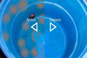 Cuidar da qualidade da água previne contra doenças