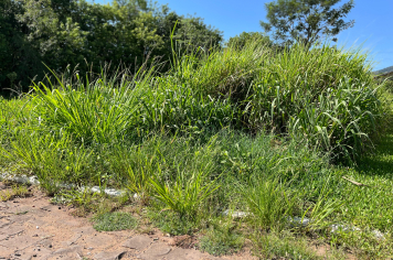 Secretaria de Meio Ambiente inicia levantamento de terrenos urbanos com necessidade de limpeza e roçagem