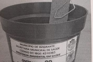 Encontradas larvas do mosquito transmissor da Dengue em Imigrante