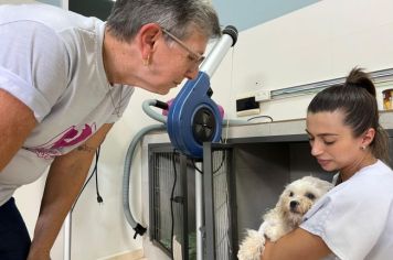Prefeitura de Imigrante avança na continuidade do Programa de Castração de Cães e Gatos