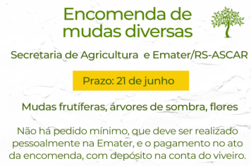 Pedido de mudas segue aberto até o dia 21