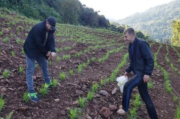 Produtores podem solicitar análise do solo