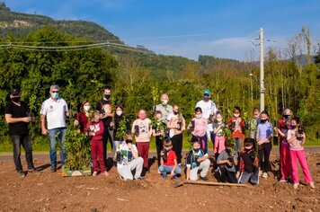 Alunos plantam árvores em área degradada