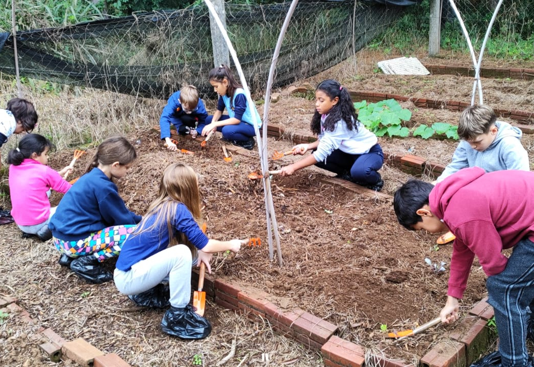 Alunos do CAI participam de atividade na horta escolar