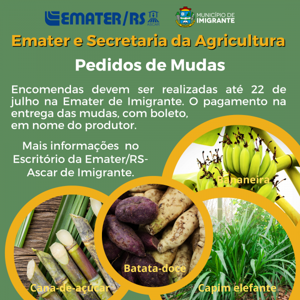 Encomendas de mudas