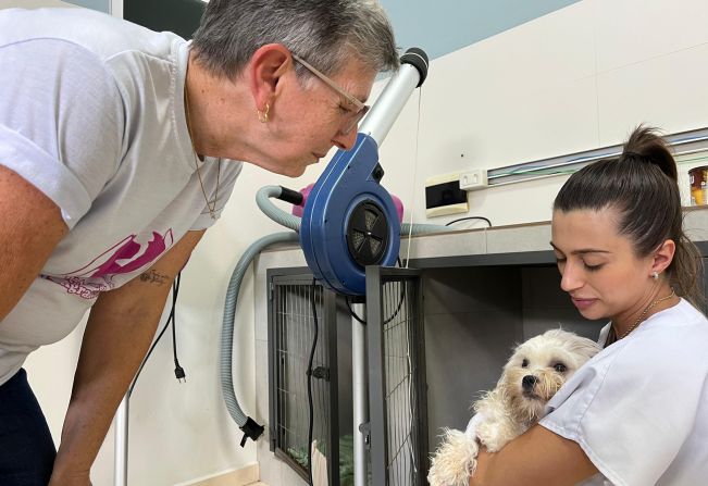 Prefeitura de Imigrante avança na continuidade do Programa de Castração de Cães e Gatos