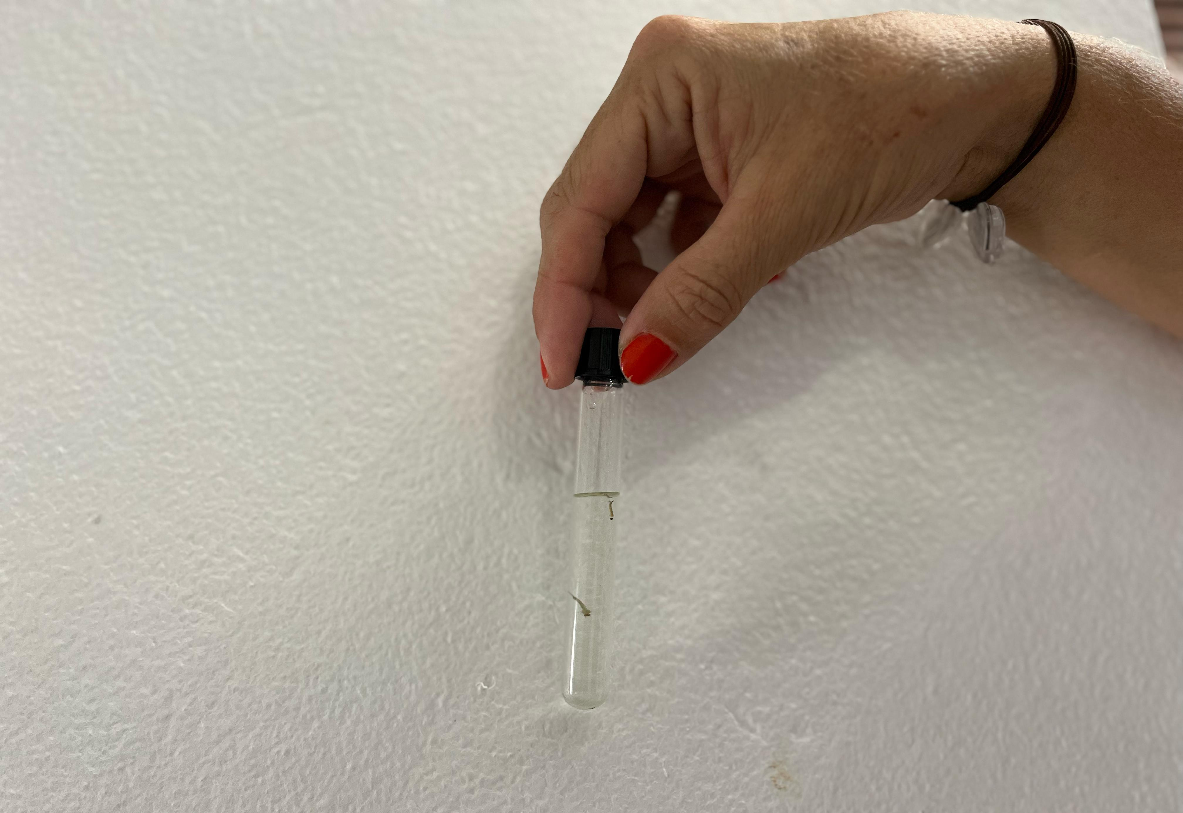 Prefeitura de Imigrante divulga resultados do LIA e reforça alerta à dengue