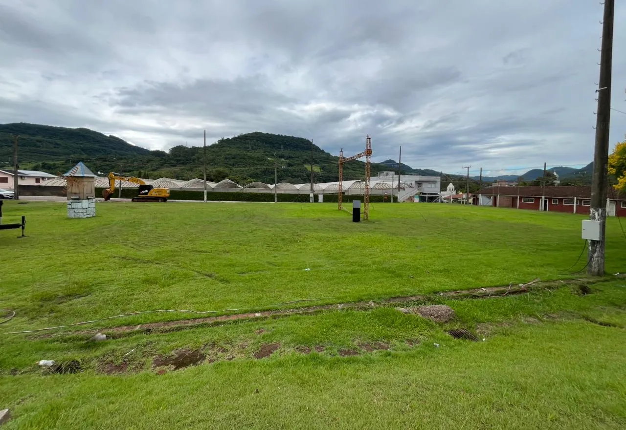 Imigrante anuncia labirinto temático como novo atrativo turístico