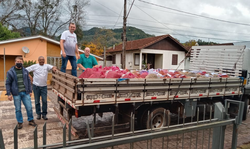 Produtores de Imigrante realizam venda conjunta de nozes pecan