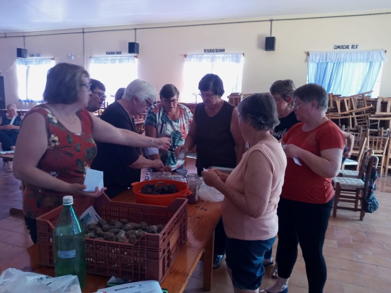 Distribuição de sementes e produção de adubo bokashi foram temas de oficinas